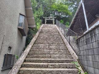 今伊勢神社（嚴島神社末社）の参拝記録(ロビンさん)