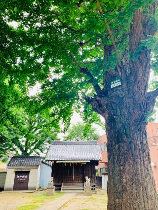 五北天祖神社の参拝記録(shikigami_hさん)