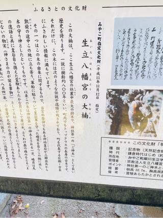 生立八幡神社の参拝記録(あぴーこさん)