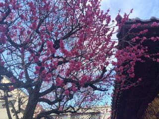 三日月神社の参拝記録(優雅さん)