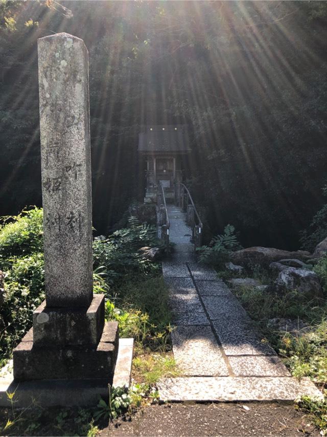 市杵島神社の参拝記録(こーちんさん)