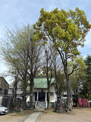 天祖神社の参拝記録(ねこチャリさん)
