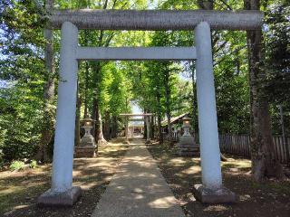 天祖神社の参拝記録(ロビンさん)