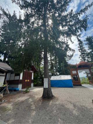 宝良神社 新山神社の参拝記録(ユータさん)
