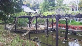 厳島神社(寒河江八幡宮末社)の参拝記録(優雅さん)