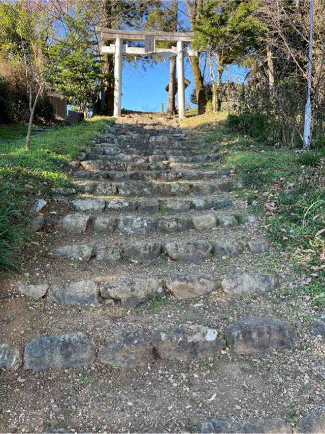 山根神社（毛呂山町大谷木）の参拝記録1