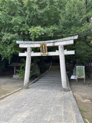 高良神社の参拝記録(⛩️🐍🐢まめ🐢🐍⛩️さん)