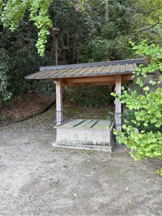 高良神社の参拝記録(⛩️🐍🐢まめ🐢🐍⛩️さん)