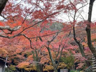 氣比社（石清水八幡宮 末社）の参拝記録(恭子さん)