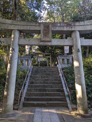 恵比須神社の参拝記録(こまいぬおさん)