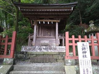 玉鉾神社（静岡浅間神社境内社）の参拝記録(yukiさん)