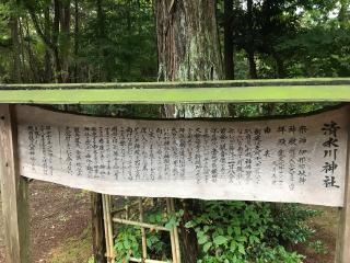 清水川神社の参拝記録(じゃすてぃさん)