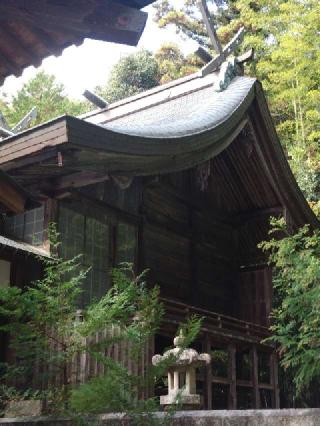 雷八幡神社の参拝記録(総右衛門さん)