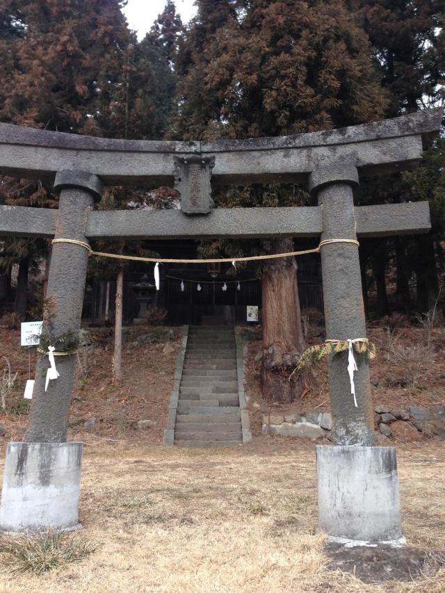 菱野健功神社の写真1