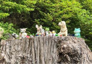 菱野健功神社の参拝記録(竜胆の花さん)