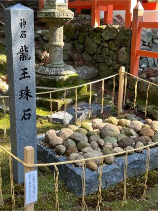 紀伊神社(春日大社末社)の参拝記録(ハシバさん)