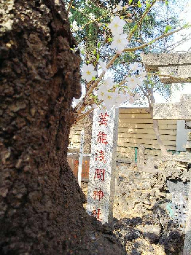 東京都新宿区新宿5-17-2 芸能浅間神社（花園神社）の写真19