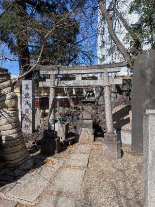 芸能浅間神社(花園神社境内社)の参拝記録(はくすみさん)