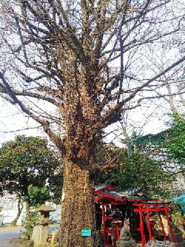 東京都新宿区新宿5-17-2 威徳稲荷神社（花園神社）の写真12