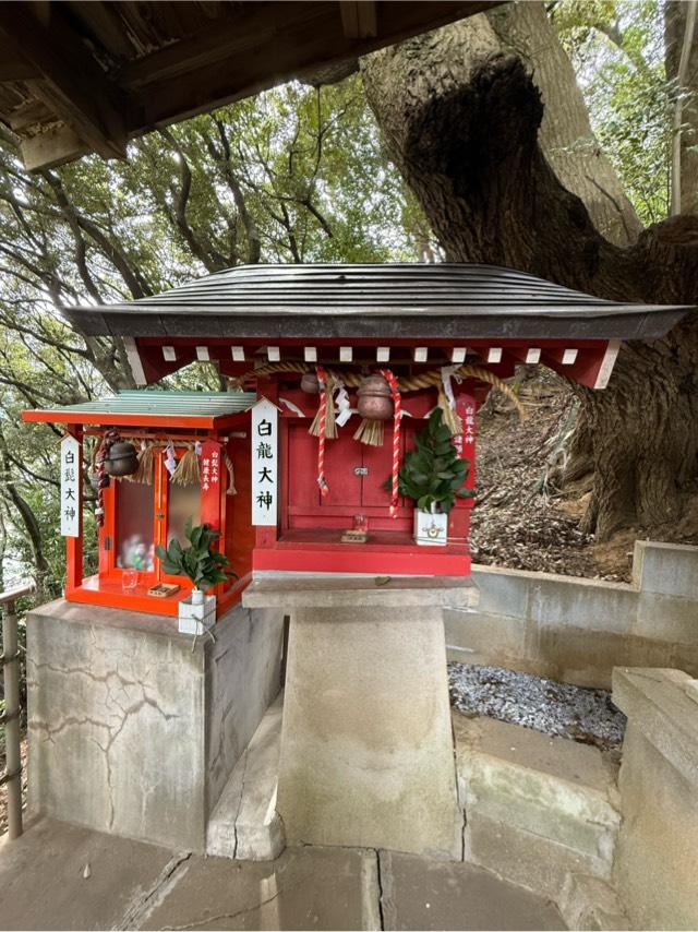 白龍大神（愛宕音次郎稲荷神社 境内社）の参拝記録4