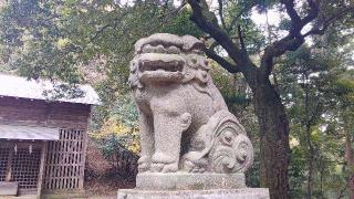 白山神社本殿 白山宮の参拝記録(miyumikoさん)