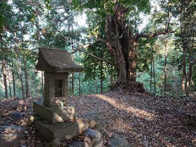 白山神社 奥の院の参拝記録9