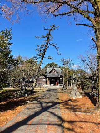 松井神社の参拝記録(こうじさん)