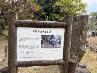 松井神社の参拝記録(ドラゴンさん)