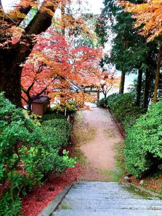 熊野神社の参拝記録(風祭すぅさん)