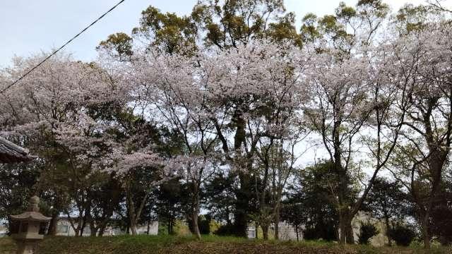 清水神社の参拝記録3