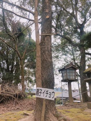 清水神社の参拝記録( 14th moonさん)