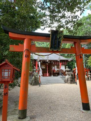 小北稲荷神社の参拝記録(まきちゃんさん)