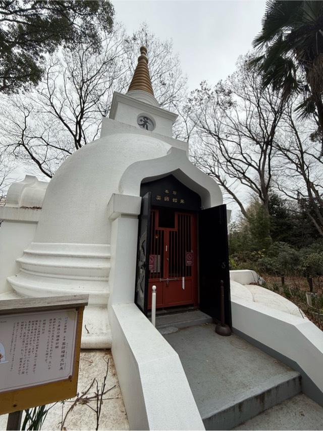 上野パゴダ薬師堂（寛永寺）の参拝記録6