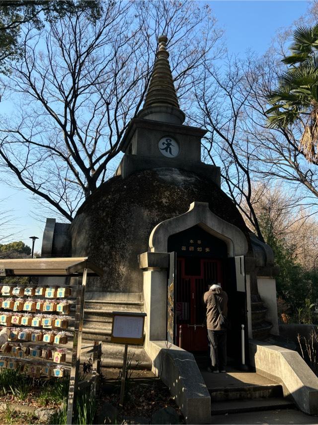 上野パゴダ薬師堂（寛永寺）の参拝記録9