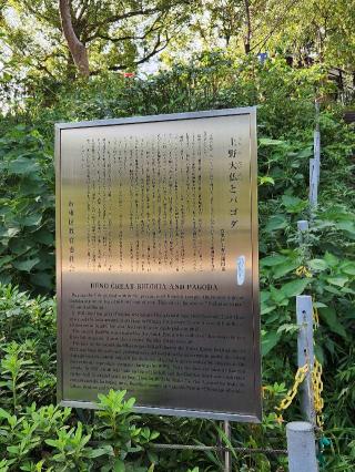 上野パゴダ薬師堂（寛永寺）の参拝記録(ろかずさん)