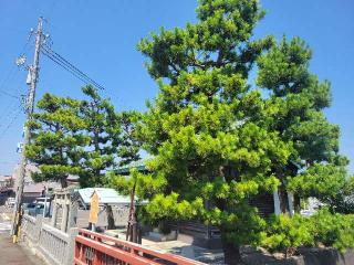 船玉浦神社の参拝記録(まっきーさん)