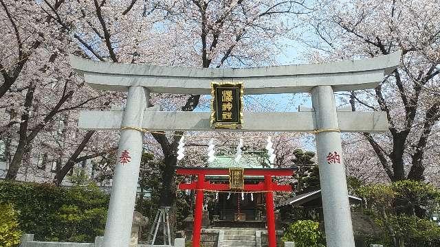 櫻神社の参拝記録(りんごぐみさん)