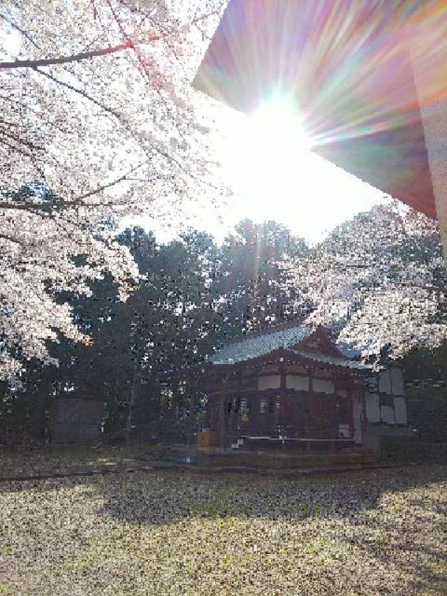 東京都町田市三輪町１６１８ 椙山神社の写真21