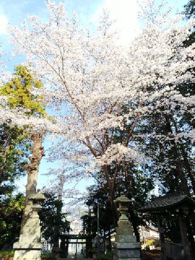 東京都町田市三輪町１６１８ 椙山神社の写真27