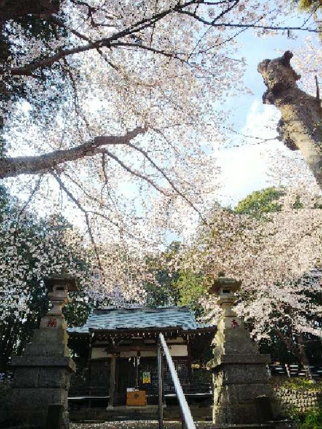 東京都町田市三輪町１６１８ 椙山神社の写真28