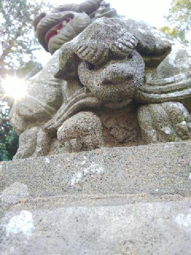 東京都町田市三輪町１６１８ 椙山神社の写真30