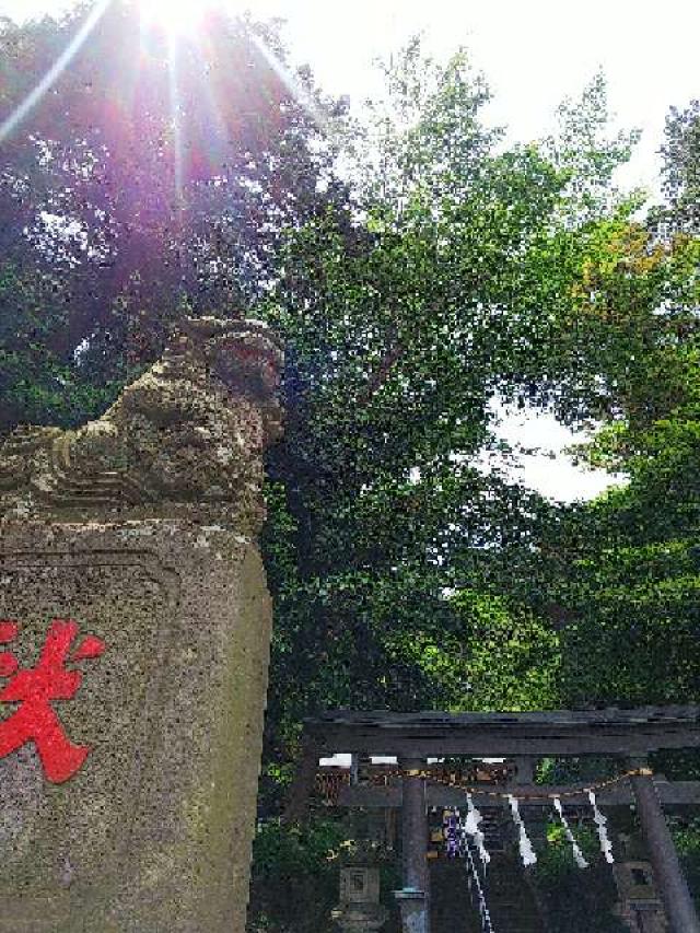 東京都町田市三輪町１６１８ 椙山神社の写真48