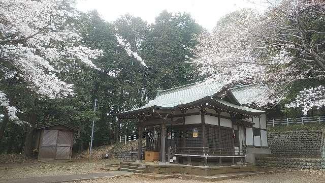 椙山神社の参拝記録6