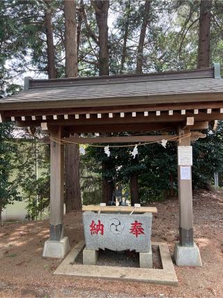 椙山神社の参拝記録(⛩️🐍🐢まめ🐢🐍⛩️さん)