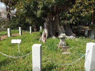 熊野神社（三輪熊野神社）の参拝記録(りゅうじさん)