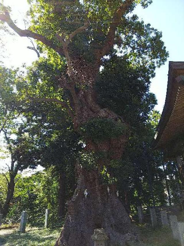 東京都町田市三輪町１９２５ 熊野神社（三輪熊野神社）の写真4