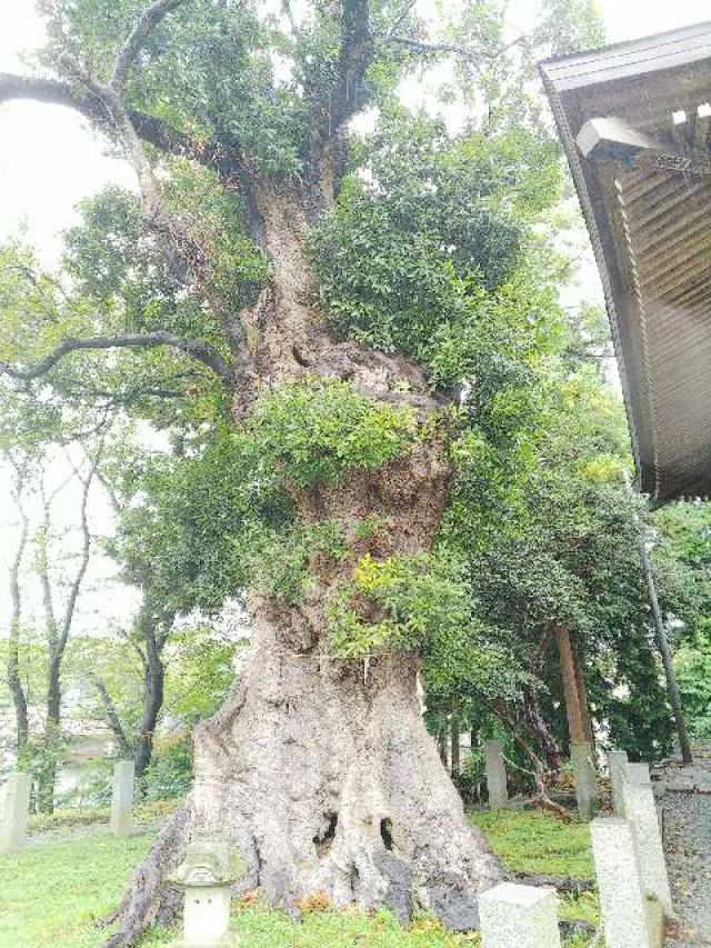 東京都町田市三輪町１９２５ 熊野神社（三輪熊野神社）の写真5