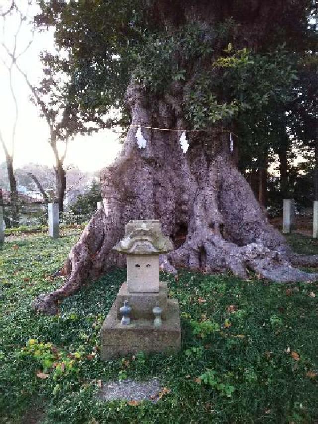 東京都町田市三輪町１９２５ 熊野神社（三輪熊野神社）の写真15
