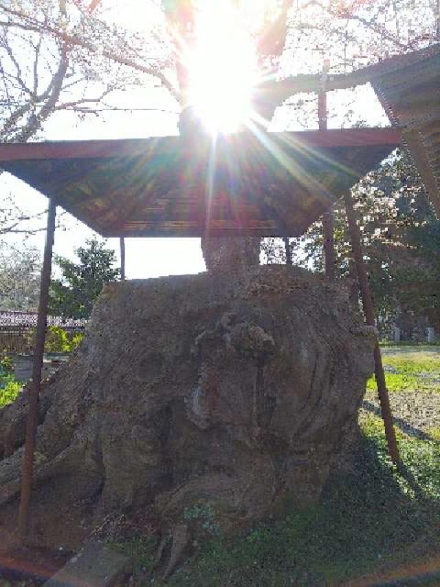 東京都町田市三輪町１９２５ 熊野神社（三輪熊野神社）の写真27
