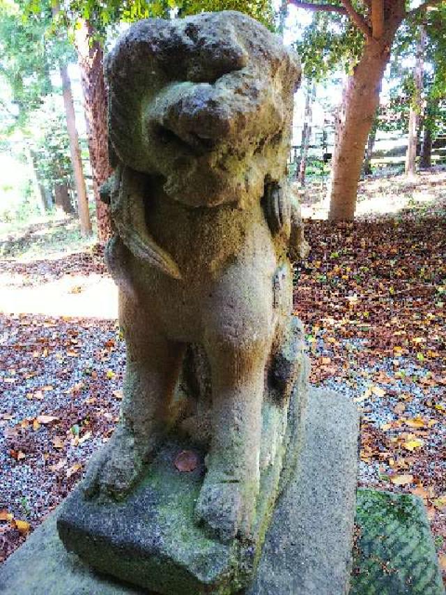 東京都町田市三輪町１９２５ 熊野神社（三輪熊野神社）の写真41